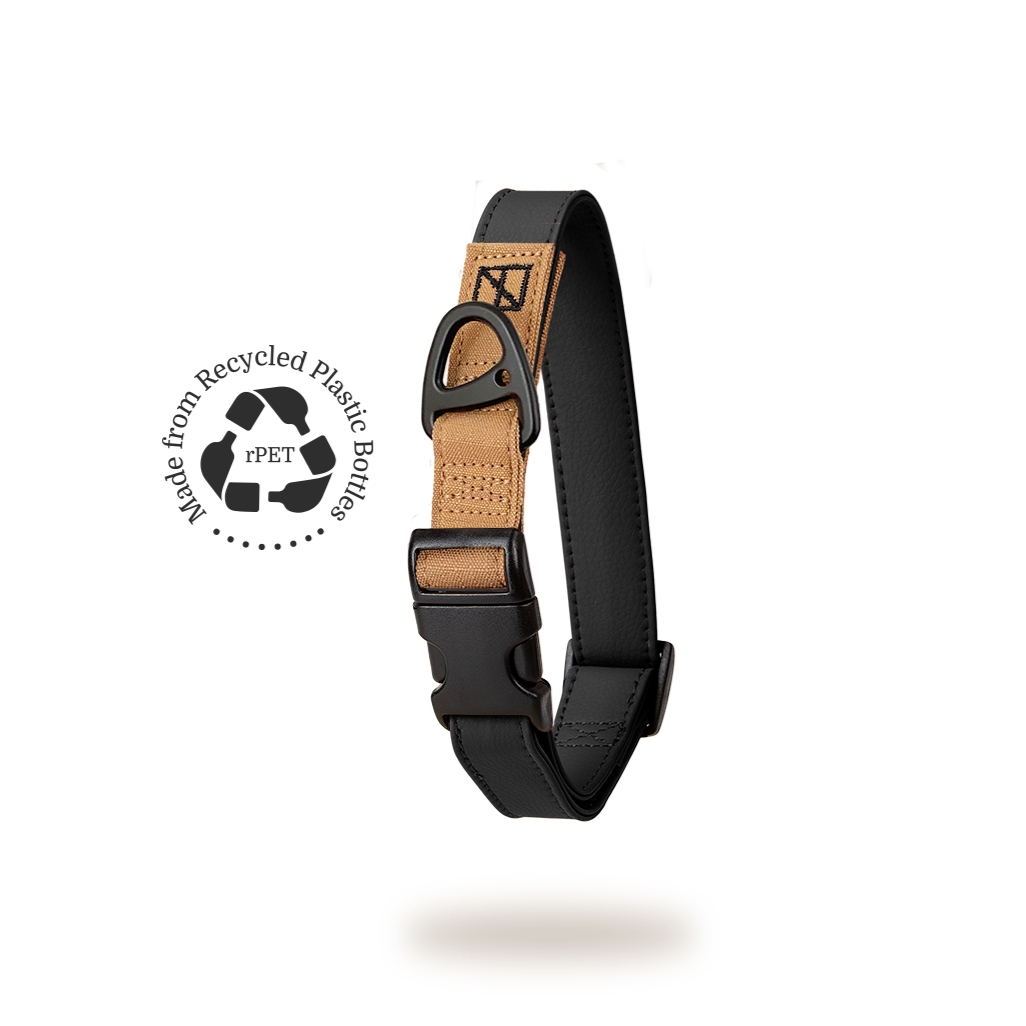 Black Collar - Recycled Ripstop