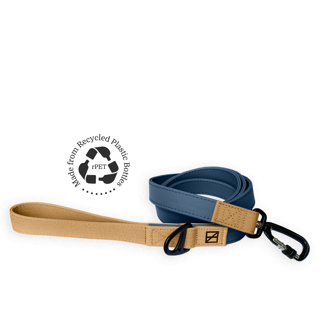 Great Lakes Blue Leash - Recycled Ripstop