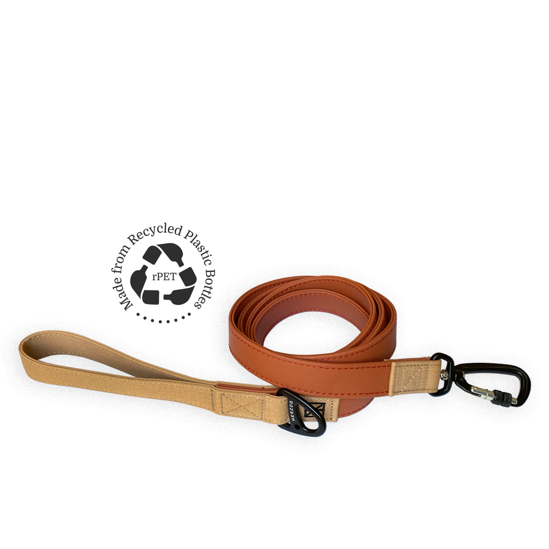 Terracotta Leash - Recycled Ripstop